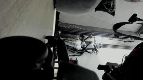 Selene online show from November 2025 04:31:02 PM