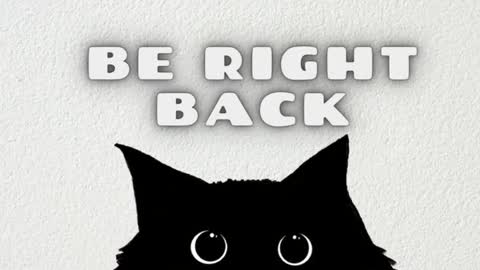 Ask me online show from November 2025 05:37:02 PM