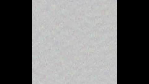 _tammarra_ online show from October 2025 11:55:02 AM