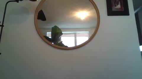 Snapshot of _tutti_frutti_ chatting on July 2026 07:16:01 PM _tutti_frutti_ online show from July 2026 07:16:01 PM