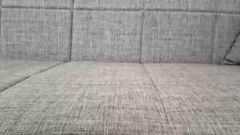 XXL online show from October 2025 12:04:02 PM