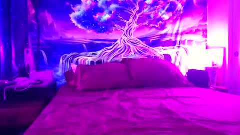 a_bad_guy_duh online show from October 2025 08:56:02 AM