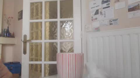 Aalex1717 online show from January 2026 08:53:02 AM