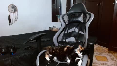 aarman online show from January 2025 04:06:02 AM