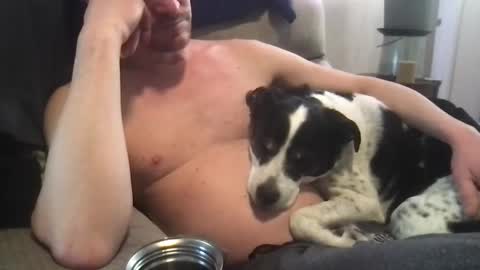 Snapshot of abe_froman2007 chatting on March 2025 10:13:02 PM abe_froman2007 online show from March 2025 10:13:02 PM