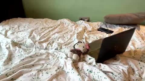 Absolute Horror Field online show from April 2026 07:14:01 AM