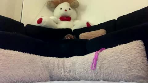 ENIGMA TZX5114 online show from February 2025 12:15:02 PM