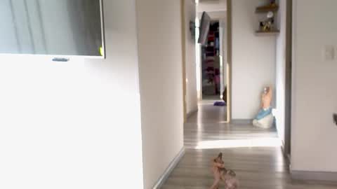 Snapshot of adan_eva960 chatting on September 2025 12:16:01 PM eva online show from September 2025 12:16:01 PM