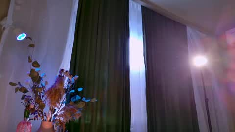Adel online show from June 2026 02:08:02 PM