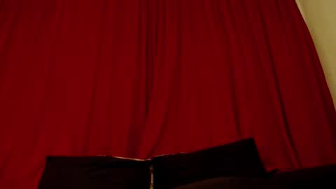 Snapshot of adonis_msc chatting on November 2025 09:46:02 PM Adonis online show from November 2025 09:46:02 PM