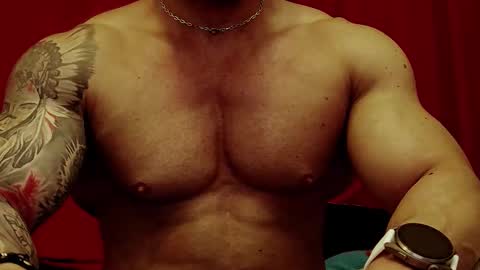 Snapshot of adonis_msc chatting on February 2026 05:30:02 PM Adonis online show from February 2026 05:30:02 PM