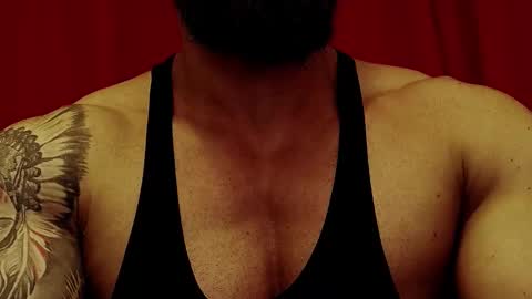 Snapshot of adonis_msc chatting on February 2026 05:05:02 PM Adonis online show from February 2026 05:05:02 PM