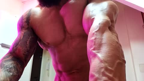 Snapshot of adonis_msc chatting on March 2026 08:52:02 PM Adonis online show from March 2026 08:52:02 PM