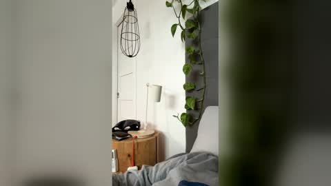 Snapshot of advbike chatting on March 2026 09:21:01 PM advbike online show from March 2026 09:21:01 PM