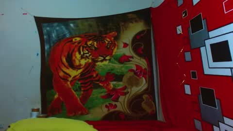 afrodita_024 online show from January 2025 02:41:01 AM