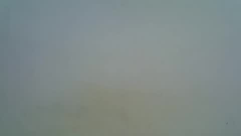 Snapshot of afronubians chatting on March 2025 09:16:01 AM afronubians online show from March 2025 09:16:01 AM