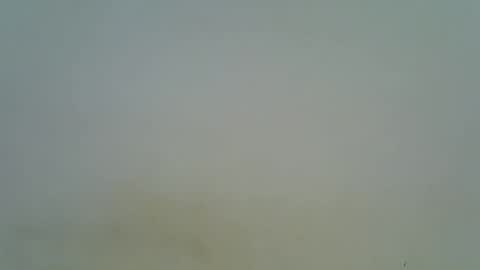 Snapshot of afronubians chatting on March 2025 08:37:02 PM afronubians online show from March 2025 08:37:02 PM