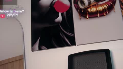 Snapshot of aidaadams chatting on January 2026 11:13:01 AM Aida online show from January 2026 11:13:01 AM