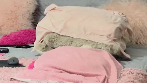 Aitanna Love online show from March 2026 06:29:02 AM