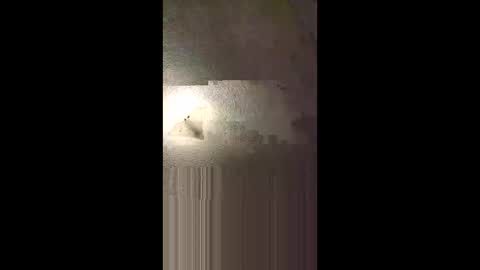 Snapshot of aj297914 chatting on February 2026 05:22:02 AM aj297914 online show from February 2026 05:22:02 AM