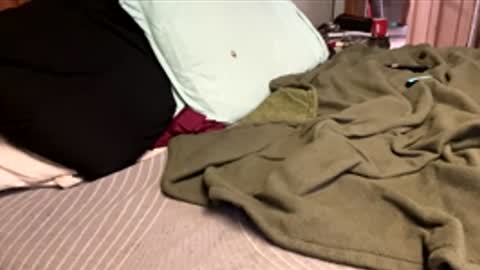 ajb5187517 online show from January 2026 05:49:02 PM