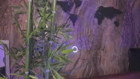 ALAHIA online show from January 2026 05:18:02 PM