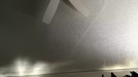 Dinky online show from January 2026 05:26:01 PM