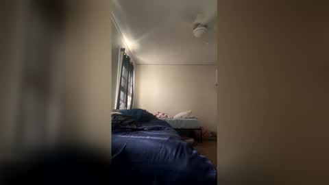 Dinky online show from April 2026 04:04:02 PM