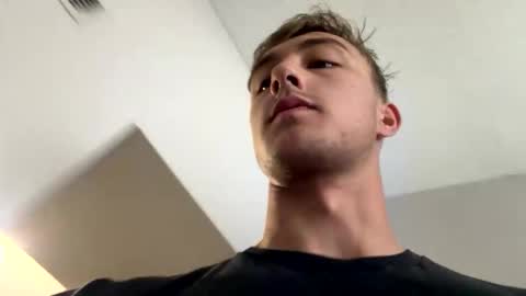 alaskanhorse online show from February 2026 04:03:02 PM