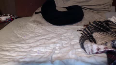 albertalbert9 online show from December 2024 07:25:02 AM