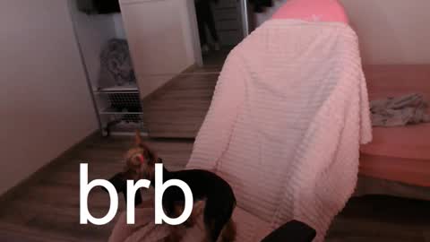 Alex online show from September 2025 09:27:02 PM