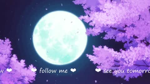     online show from December 2024 02:23:01 AM