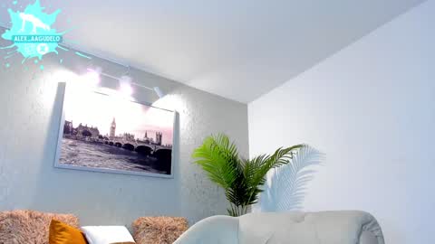 x   online show from December 2024 08:00:02 AM