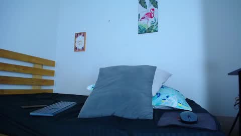 Snapshot of alexisbigc chatting on February 2025 11:13:01 PM alex online show from February 2025 11:13:01 PM