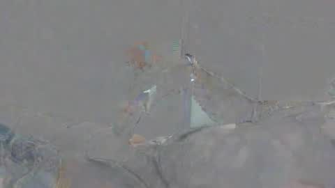 Alexsmith9876 online show from April 2026 02:15:02 PM