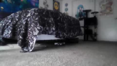 Snapshot of alexvines chatting on March 2026 03:50:02 PM Alex Vines online show from March 2026 03:50:02 PM