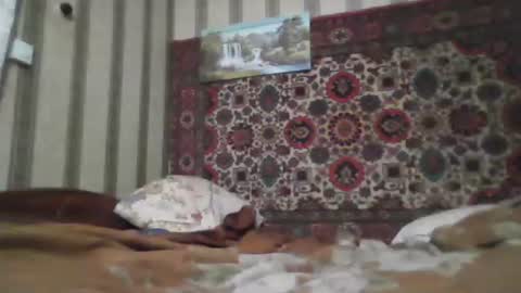 Snapshot of alferezsolvajo chatting on February 2026 06:48:01 PM alferezsolvajo online show from February 2026 06:48:01 PM