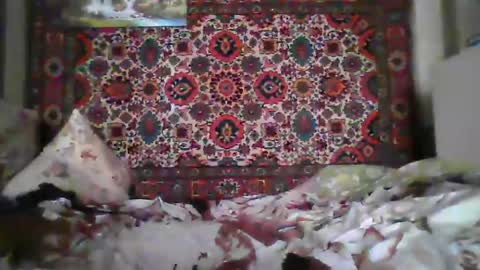 alferezsolvajo online show from July 2026 07:11:02 AM