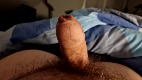 alfred2349 online show from October 2025 11:36:01 PM