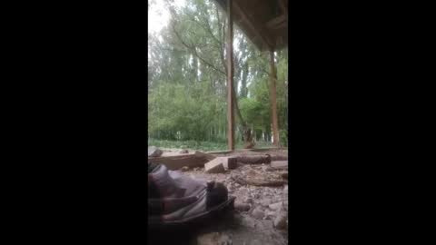 ali266113 online show from April 2026 06:25:02 AM