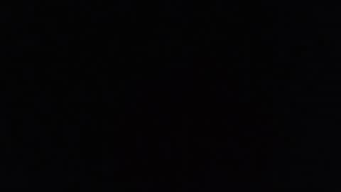     online show from July 2026 06:24:02 PM