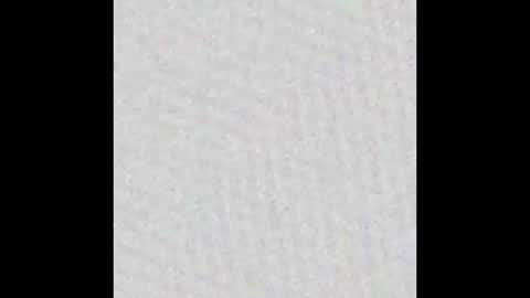 Alisse online show from November 2025 12:04:01 PM