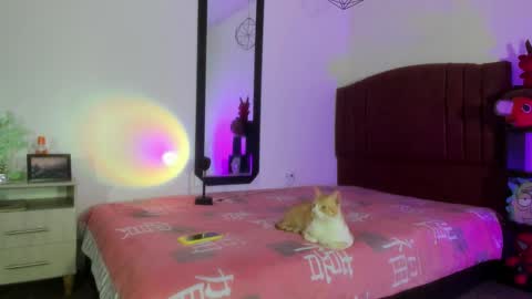 Alisson IG alisson zafiro27 online show from December 2024 09:07:01 AM