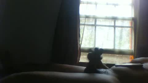 allbermy online show from November 2025 06:08:01 PM