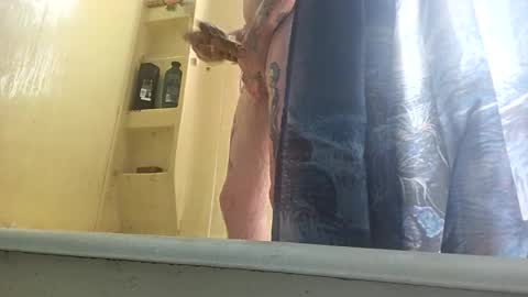 allwolf0323 online show from September 2025 04:45:02 PM