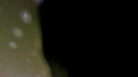 Snapshot of alotta_titties chatting on February 2026 08:41:01 AM alotta_titties online show from February 2026 08:41:01 AM