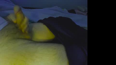 alphablue_wolf1295 online show from December 2024 07:06:02 AM