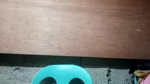 Snapshot of altheahot_asian chatting on December 2024 11:57:02 PM altheahot_asian online show from December 2024 11:57:02 PM