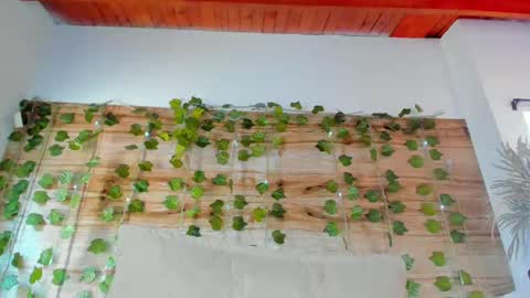 alyssia online show from February 2025 03:38:01 PM