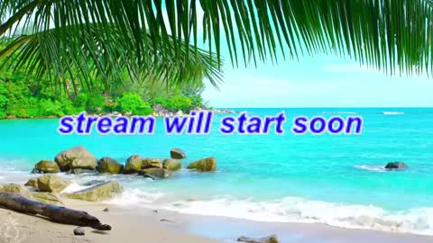 Amalia online show from January 2025 12:58:02 PM